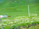【内蒙古旅游】呼伦贝尔大草原中国第一冷极双飞6日游（海进海出）
