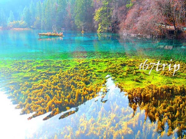 九寨沟群海