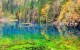 九寨沟彩林