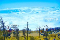 峨眉山旅游攻略：逃离尘都到峨眉山去吸氧，成都峨眉山自驾金顶第一天