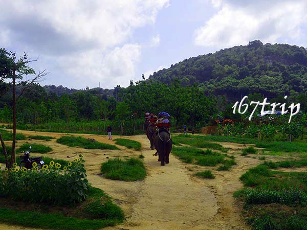 泰国清迈旅游攻略，清迈有什么好玩的地方