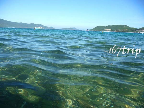 芽庄碧海