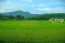 云南广南坝美村旅游游记