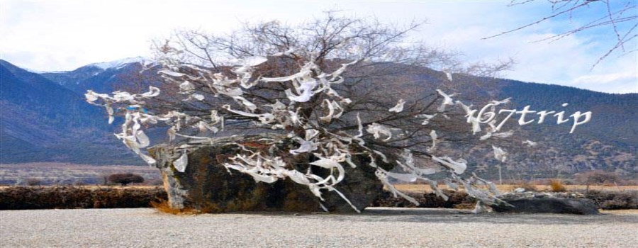 大峡谷里面的的情比石坚.jpg