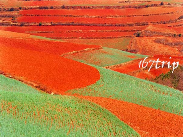 红土地