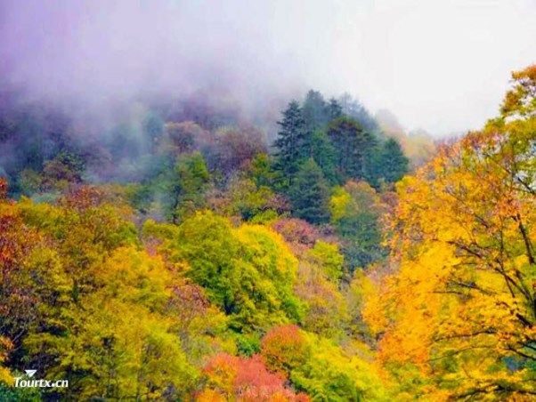光雾山