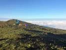 【纯玩】碧峰峡野生动物园+风景区二日游