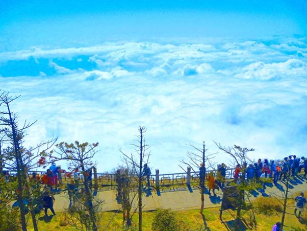 峨眉山金顶云海