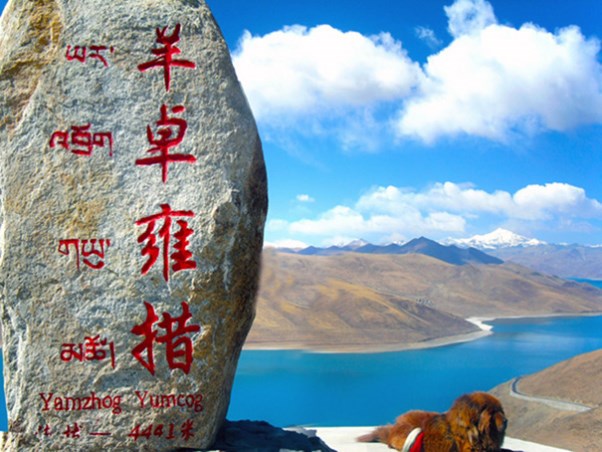 羊湖3